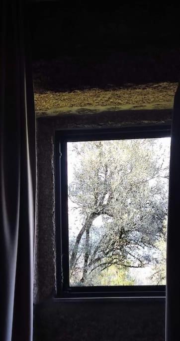 Casa Nova Das Oliveiras Μπράγκα Εξωτερικό φωτογραφία